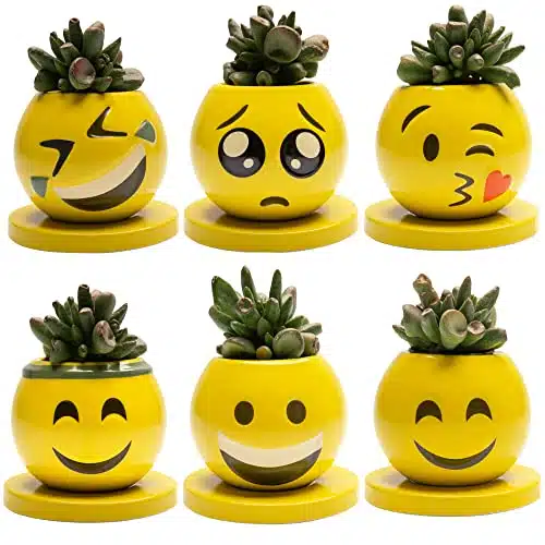 Claymoji Face Planter, Cute Succulent Pots, Succulent Planters & Drainage And Matching Saucer, Face Flower Pot Head Planters For Indoor Plants, Cactus Pot, Small Pots, Small P