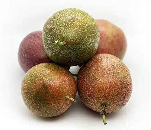 Fresh Purple Passion Fruit (lb)