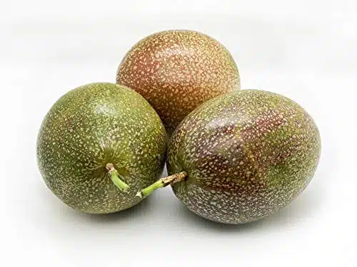 Melissa's Fresh Passion Fruits, Dozen